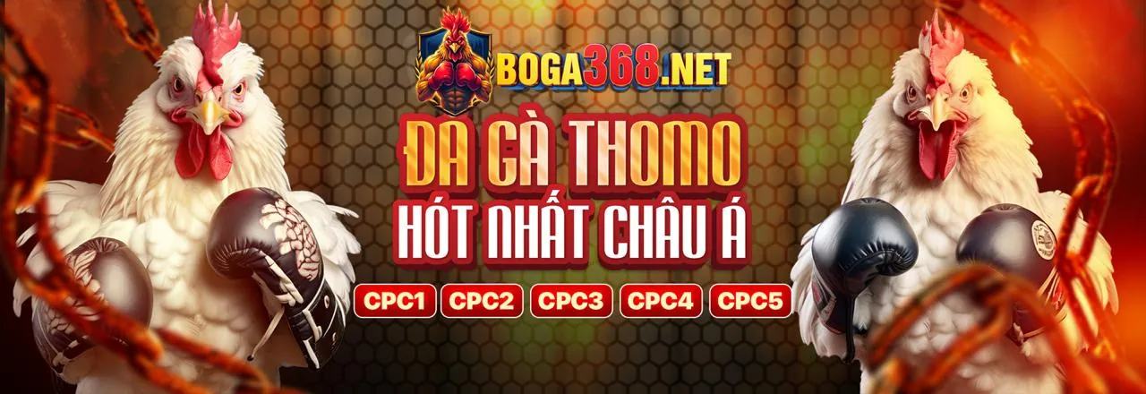 Đá gà trực tuyến kịch tính tại net1 trang chủ chính thức